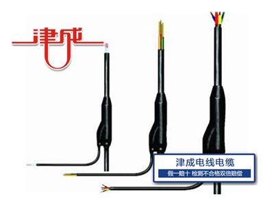 電纜型浮球開(kāi)關(guān)-天津津成電線(xiàn)電纜